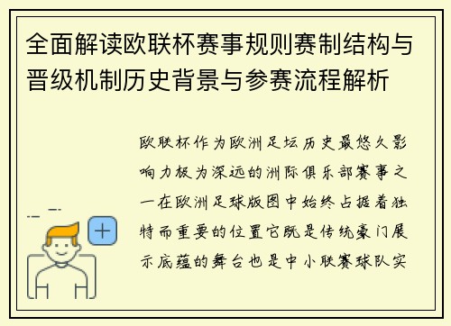 全面解读欧联杯赛事规则赛制结构与晋级机制历史背景与参赛流程解析